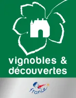 vignobles-decouvertes