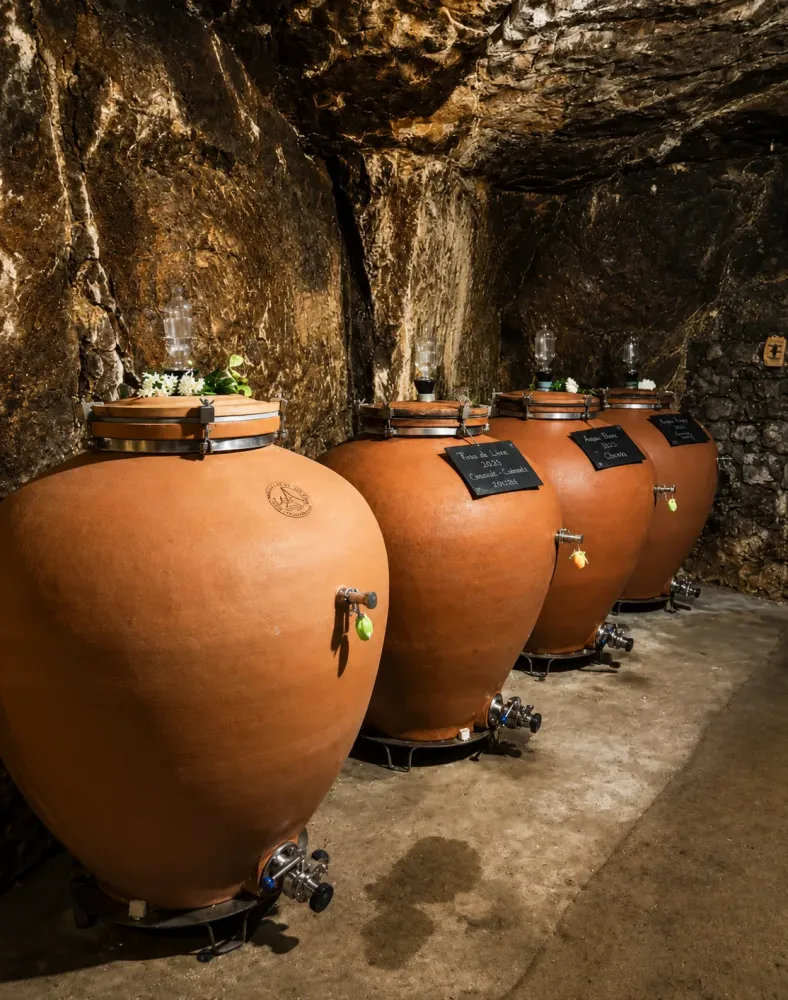 cave-patrimoine