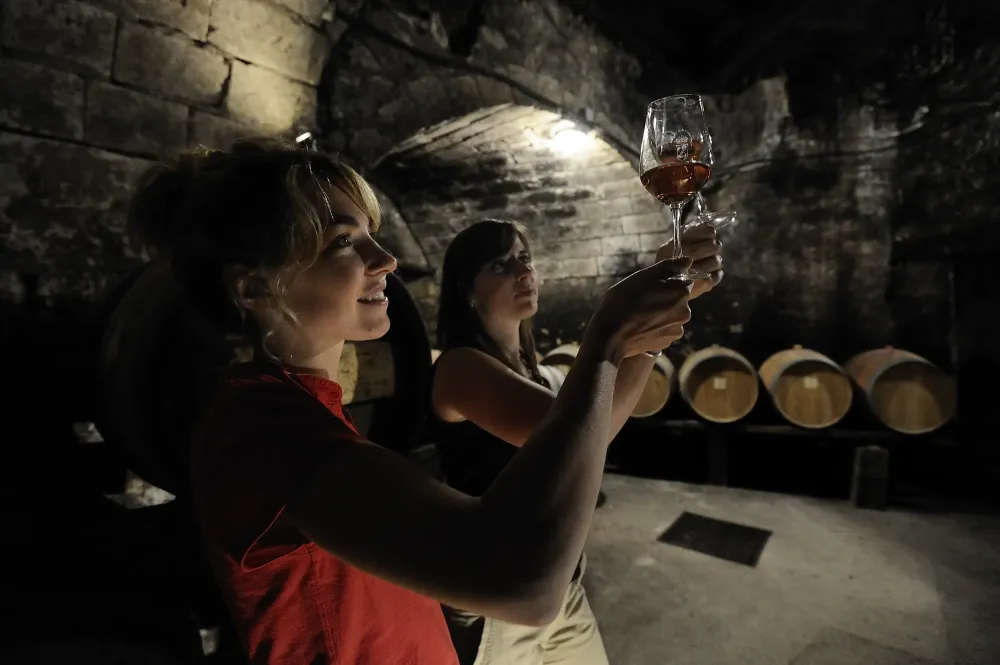 Caves Vignobles HD 036