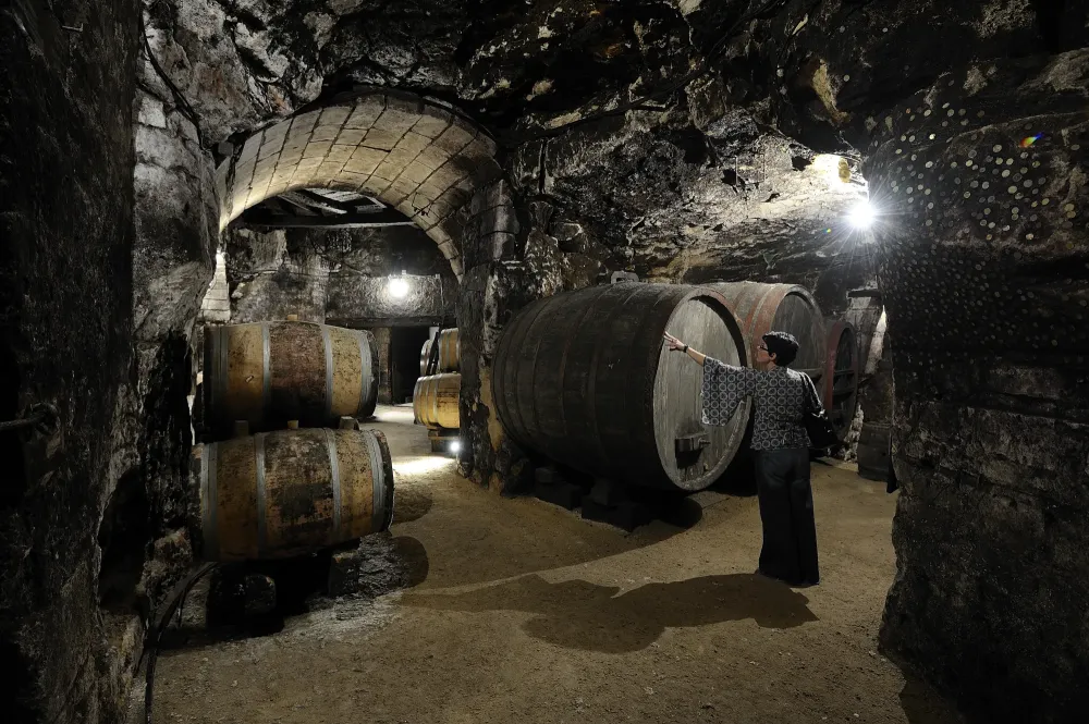 Caves Vignobles HD 040